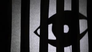 Shadows on the Wall