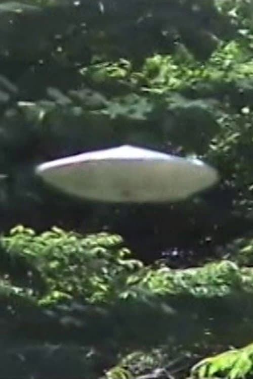 Buchou to UFO-gokko