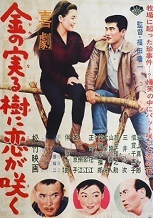 Kigeki: Kane no naru ki ni koi ga saku