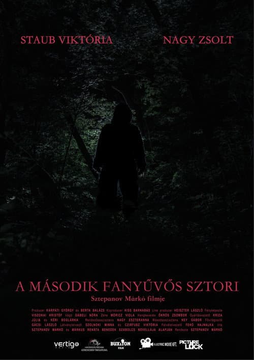 Sasquatch Story No.2