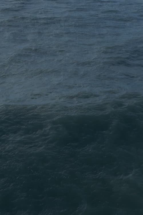 Twenty Nine Minutes at Sea