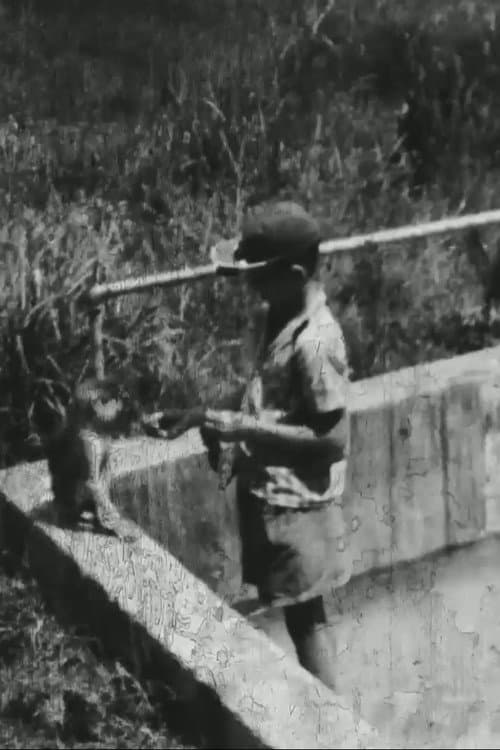 Humit's Zoo