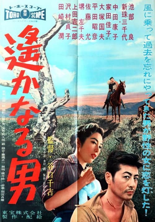 Faraway Man