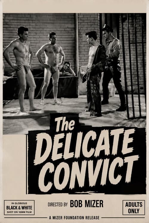 Delicate Convict