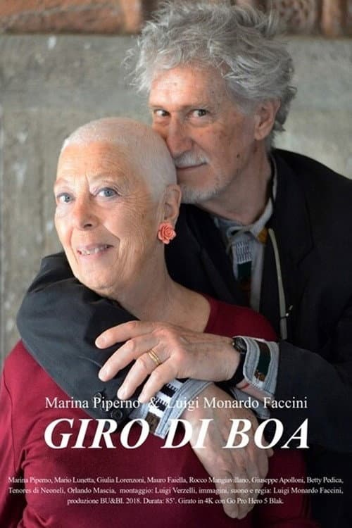 Giro di boa