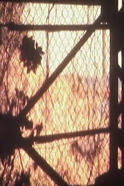 Eclipse of Hunting (Short Version)