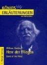 Herr der Fliegen