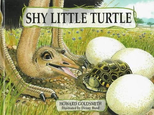 Shy little turtle
