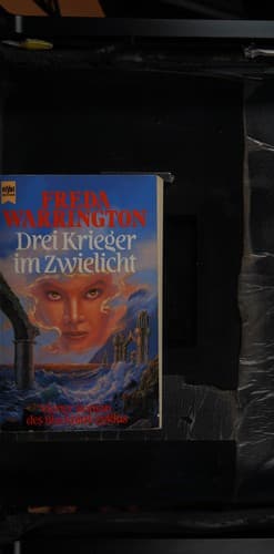 Drei Krieger im Zwielicht