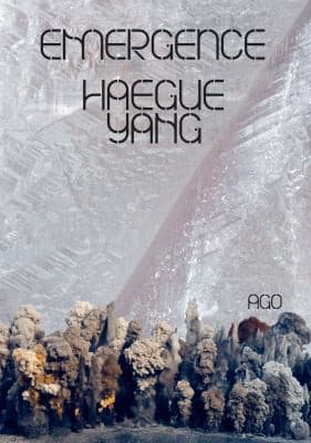 Haegue Yang