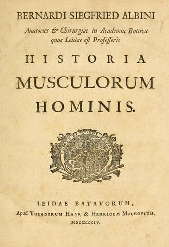 Bernardi Siegfried Albini, anatomes & chirurgiae in academia Batava quae Leidae est professoris, Historia musculorum hominis