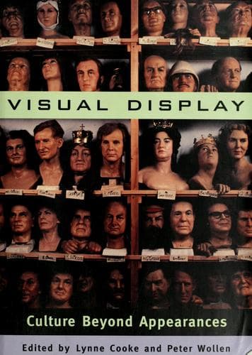 Visual Display