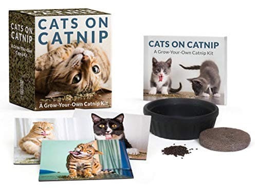 Cats on catnip