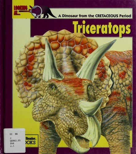Looking at-- Triceratops