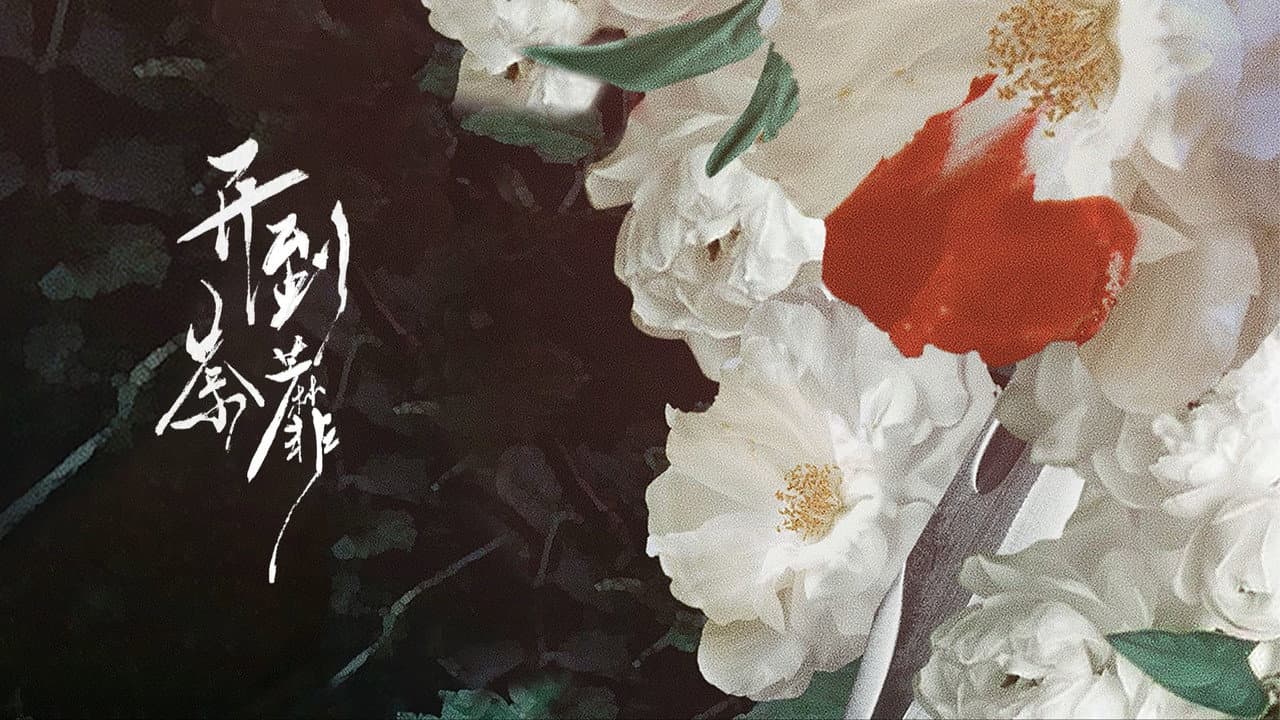 开到荼靡